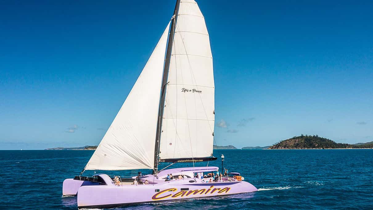 The purple-hulled sailing catamaran Camira under full white sail on deep blue water with an island behind
