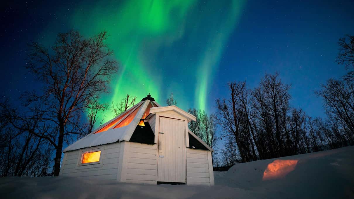 Weiße Hütte mit Glasdach und warm erleuchtetem Fenster im Schnee zwischen Birken, darüber ein grünes Nordlicht