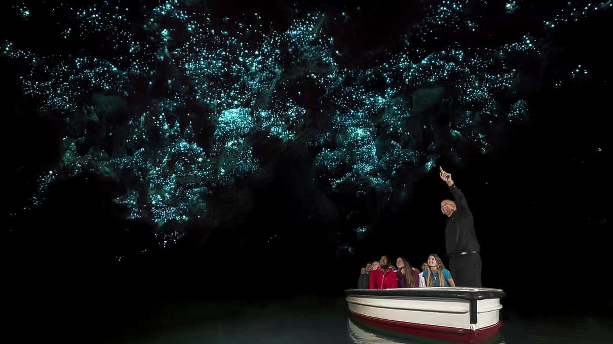 Thousands of blue-green glowworms lighting the ceiling of a cave at Waitomo