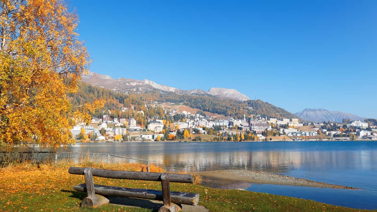 An autumn tree with yellow leaves and a wooden bench on the shore of the lake in St. Moritz