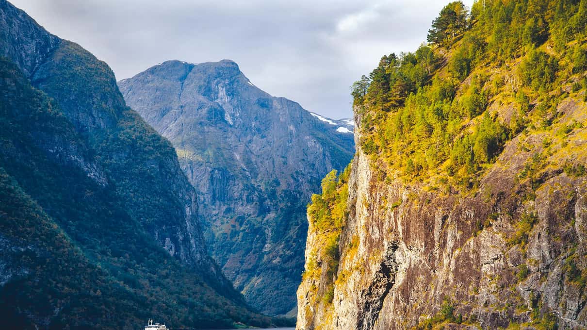 The Nærøyfjord seen from high on the mountainside, a narrow ribbon of water between forested cliffs