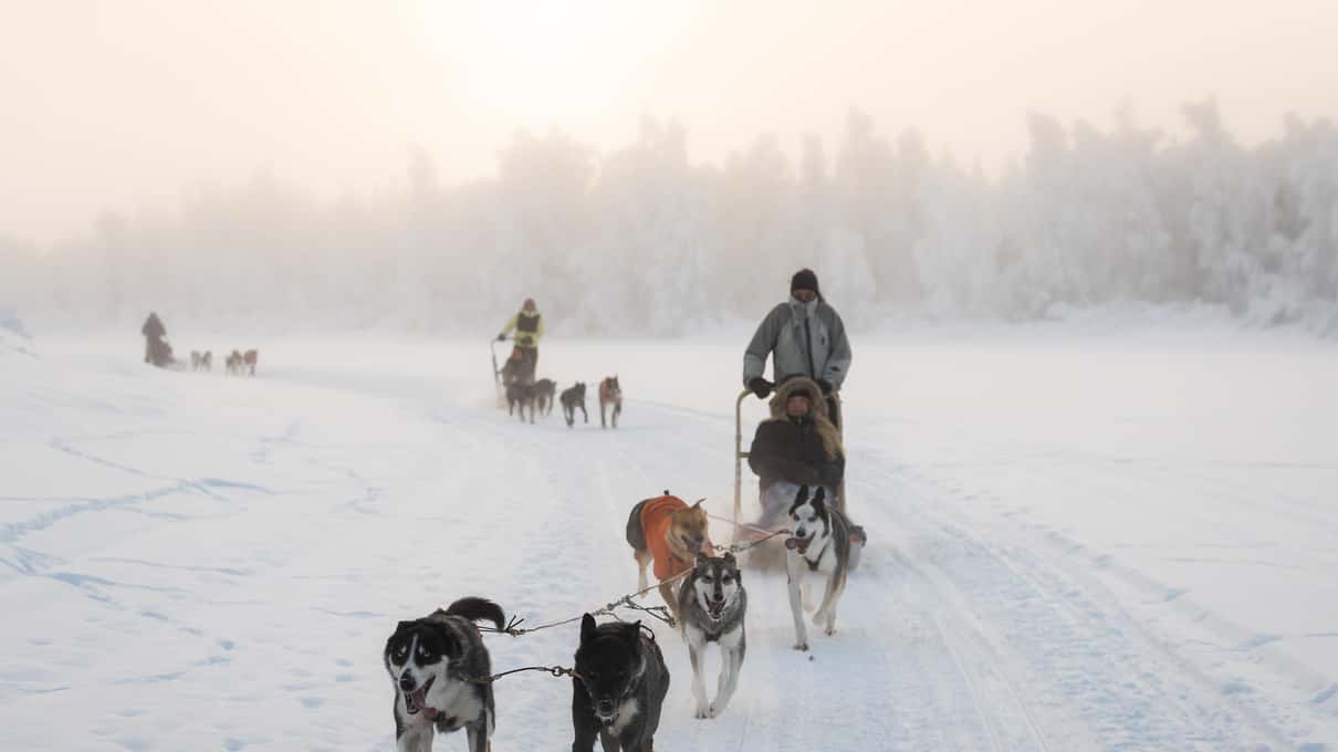 A line of husky sleds with drivers standing on the runners crossing an open snowy plain at Safartica