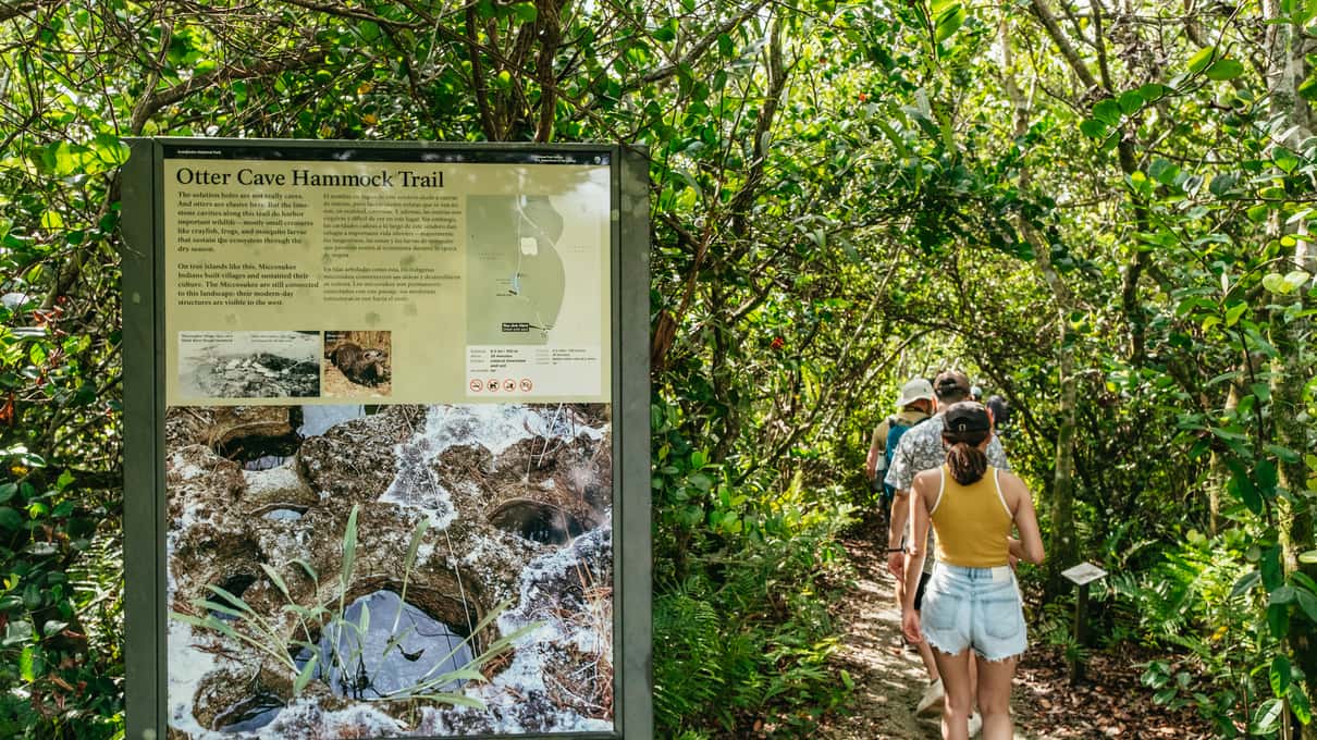 Walkers on a shaded tropical hammock trail beside an interpretive sign in Everglades National Park on a Wild Lime tour