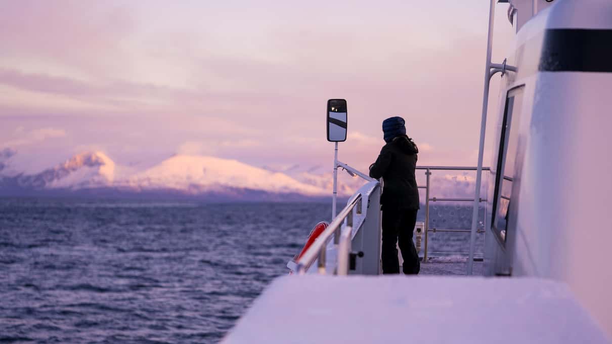 A guest at the rail of a catamaran's deck looking out over a fjord under a pink and lilac twilight sky