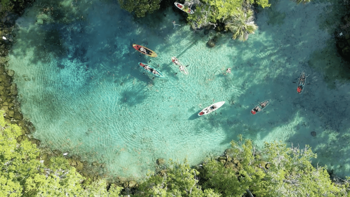 Aerial view of the turquoise water of Three Sisters Springs with kayaks gathered at the edge