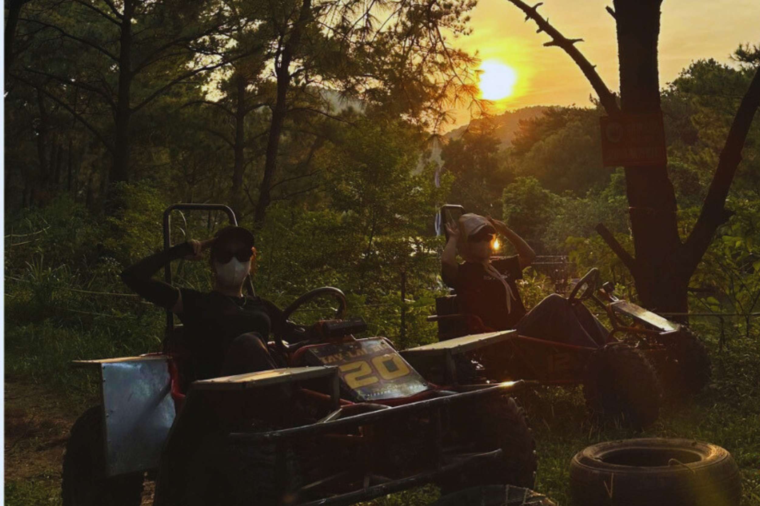 Driving buggy along forest trails