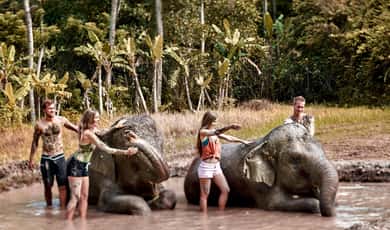 Guided Ethical Elephant Care Experience — photo 4