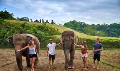 Guided Ethical Elephant Care Experience — photo 3