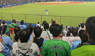 Japan Baseball Tour-Catch a Live Game in Tokyo with a Local — photo 3
