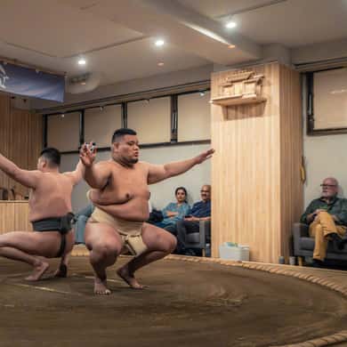 Shinjuku Sumo Show & Experience with Photo — photo 3