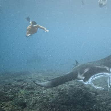 Premium Yacht Nusa Penida Manta Snorkeling & Land Tour — photo 5