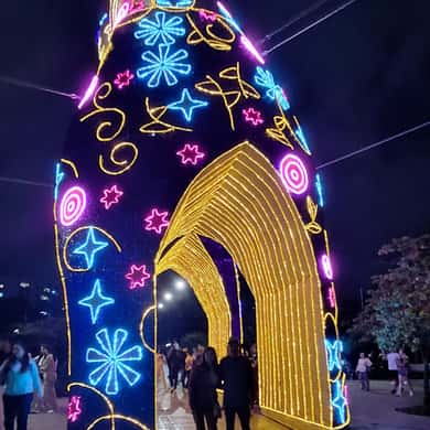 Tour Navideño de Luces en Medellín y Envigado view 2
