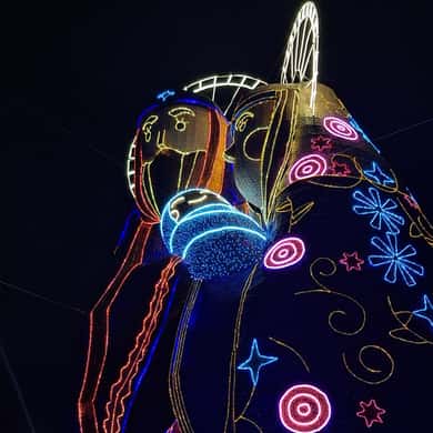 Tour Navideño de Luces en Medellín y Envigado - 5