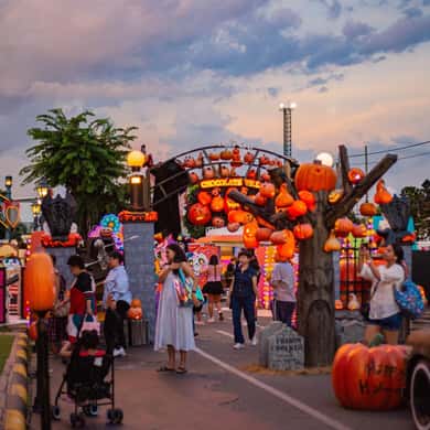 Chocolate Ville Entry with Transfer & Guide — photo 4