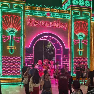 Tour Navideño de Luces en Medellín y Envigado view 3