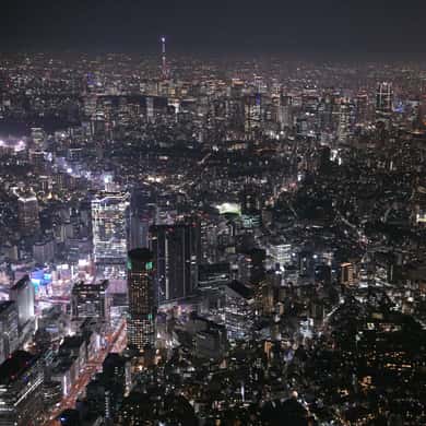 Tokyo Skytree And Tokyo Tower Helicopter Tour T1053839 — photo 2