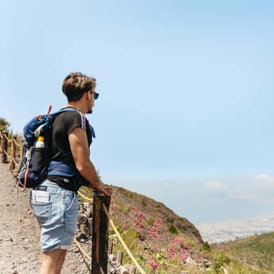 Pompeii Day Trip with Optional Vesuvius and Lunch — photo 3