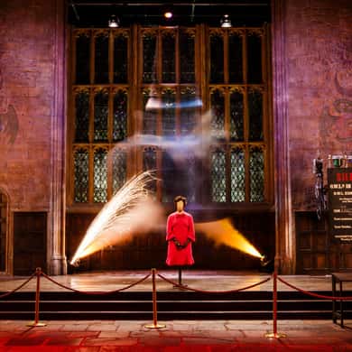 Warner Bros. Studio Harry Potter Tour with Transfers — photo 3