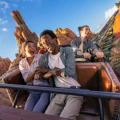 Disneyland® Paris 1-Day Ticket — photo 3
