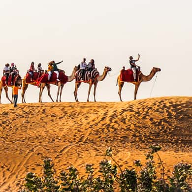 Red Dune Safari, Quad Bike, Camel Ride, BBQ Dinner — photo 4