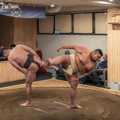 Shinjuku Sumo Show & Experience with Photo — photo 5