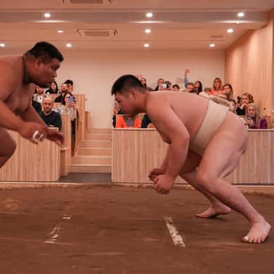 Shinjuku Sumo Show & Experience with Photo — photo 2