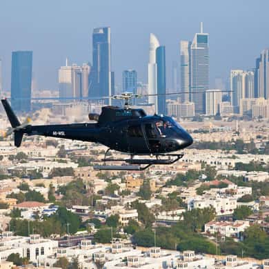 Helicopter Adventure Above The Palm — photo 3