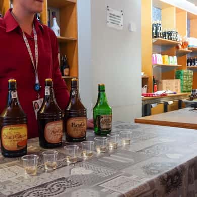 Montserrat Tour with Cog-Wheel & Black Madonna — photo 5