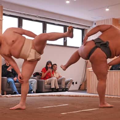 Shinjuku Sumo Show & Experience with Photo — photo 4