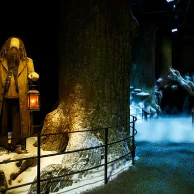 Warner Bros. Studio Harry Potter Tour with Transfers — photo 2