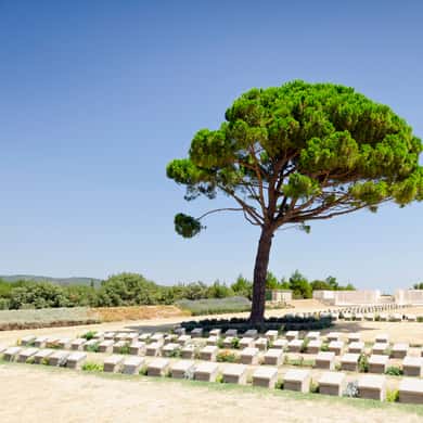 Gallipoli and Anzac Full-Day Tour — photo 4