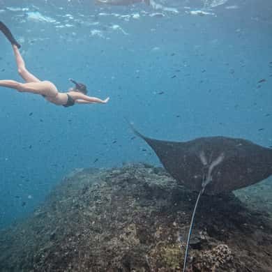 Premium Yacht Nusa Penida Manta Snorkeling & Land Tour — photo 2
