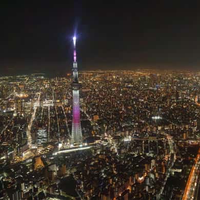 Tokyo Skytree And Tokyo Tower Helicopter Tour T1053839 — photo 5