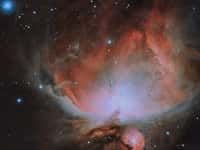 Orion nebula astrophoto