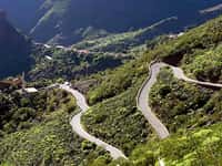 Winding Masca road in green valley