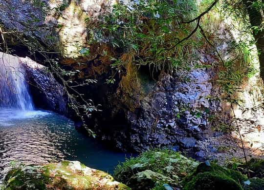 Mt Springbrook Springbrook National Park, Gold Coast - Book Tickets & Tours - 2026 ...