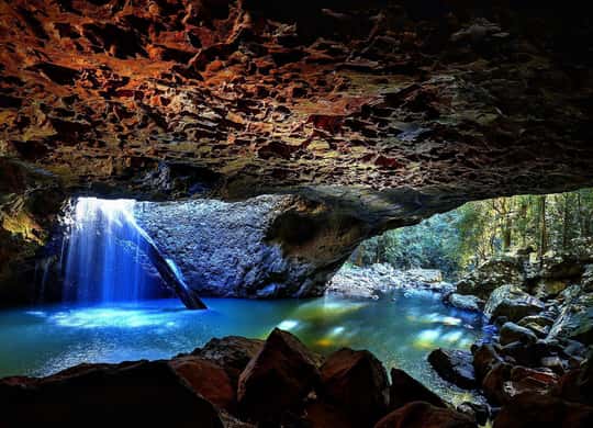 Mt Springbrook Springbrook National Park, Gold Coast - Book Tickets & Tours - 2026 ...