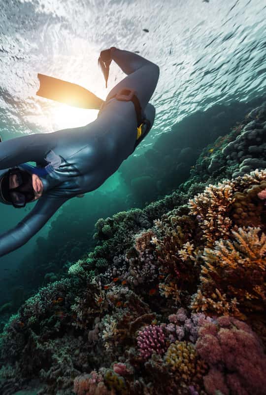 The BEST Things to Do in Pantanassa - Top Activities in 2026 | GetYourGuide