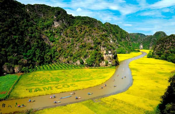 From Hanoi or Ninh Binh: Hoa Lu, Trang An & Mua Cave - 2026 (Verified ...