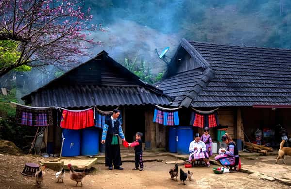 Rotation Rice Cooker Design Sapa 3D2N: Rice Terraces, Ethnic Villages & Trekking - 2026 (Verified ...