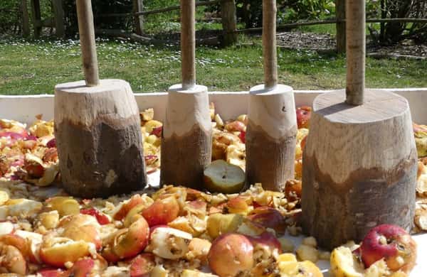 Basque Tours Bilbao: San Sebastian, Getaria, and Basque Farmhouse Tour - 2026 ...