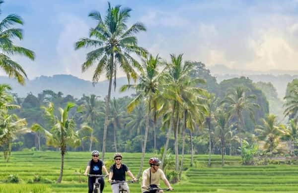 Bali: Guided Kintamani Cycling Tour with Rice Field Views - 2026 ...