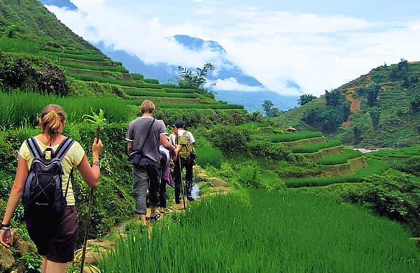 Rotation Rice Cooker Design Sapa 3D2N: Rice Terraces, Ethnic Villages & Trekking - 2026 (Verified ...