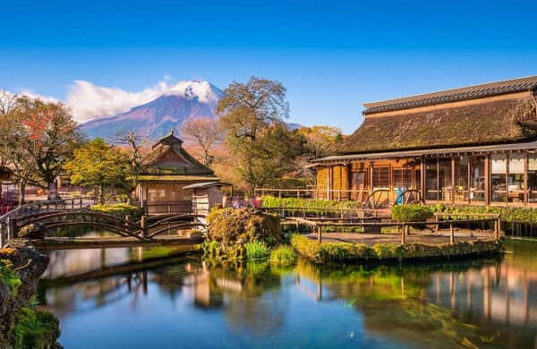Tokyo: Mt Fuji Day Private Guided Tour With Custom Itinerary - 2026 (Verified Reviews)
