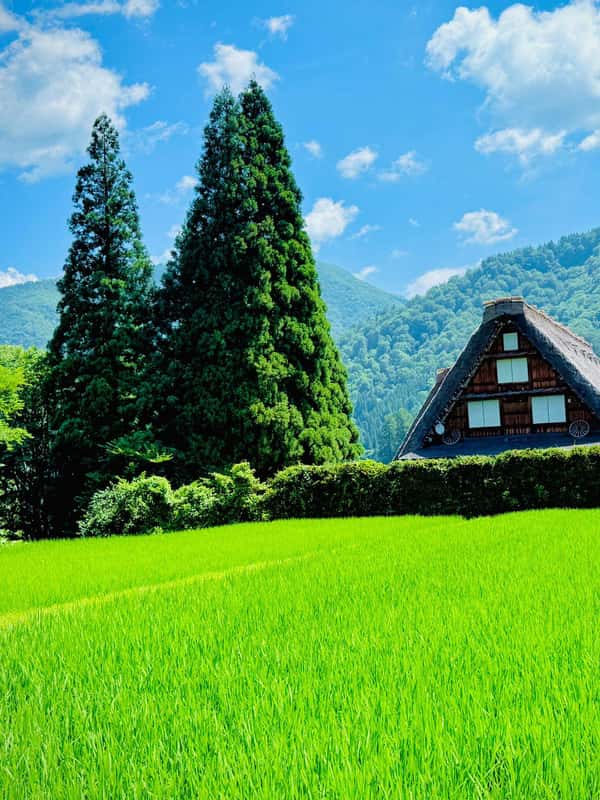 From Kanazawa: Shirakawa-go and Takayama Day Trip by Bus - 2026 ...