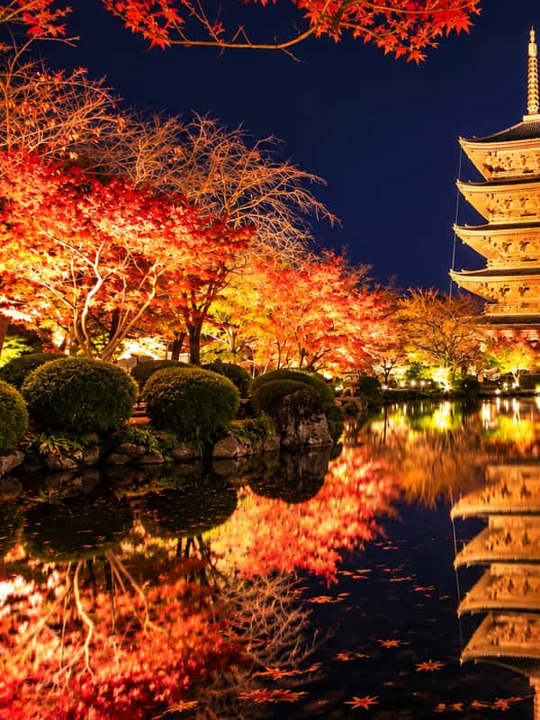 Toji Tample Kyoto: Toji Temple with Limited-Season Light-Up Entry - 2026 (Verified ...