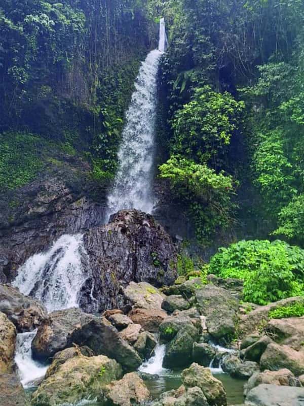 Ubad Rice Bali: Tegenungan Waterfall, Ubud, and Rice Fields Tour - 2026 (Verified ...
