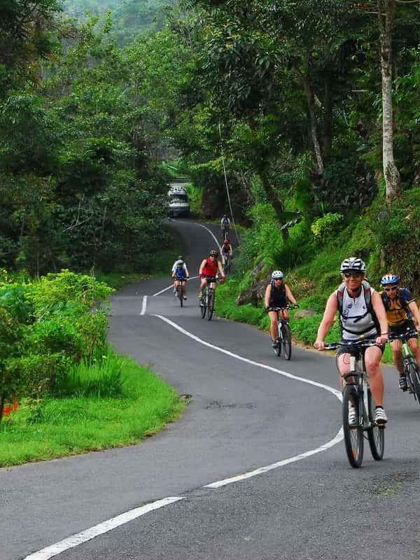 Bali: Guided Kintamani Cycling Tour with Rice Field Views - 2026 ...