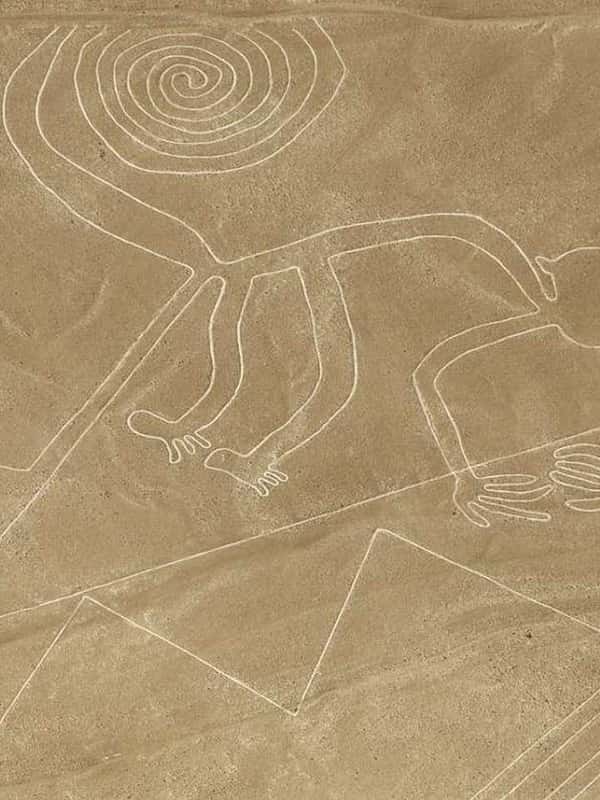 Nascalans Lima: Nazca Lines - Day Trip from Lima - Fly Over Geoglyphs - 2026 ...