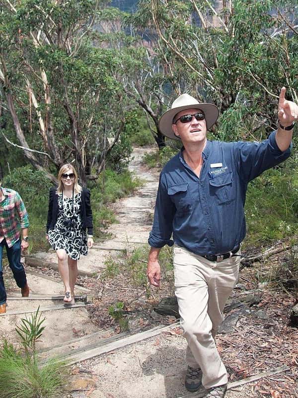 From Sydney: Blue Mountains Bushwalks & Featherdale Tour - 2026 ...